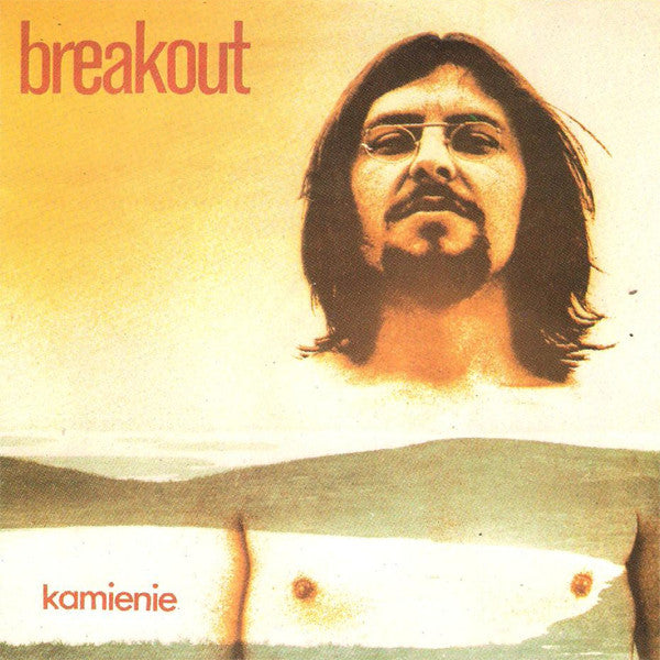 Breakout - Kamienie