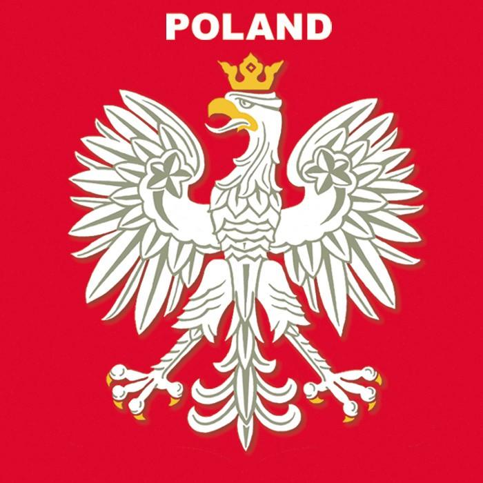 Photo Magnet - White Eagle