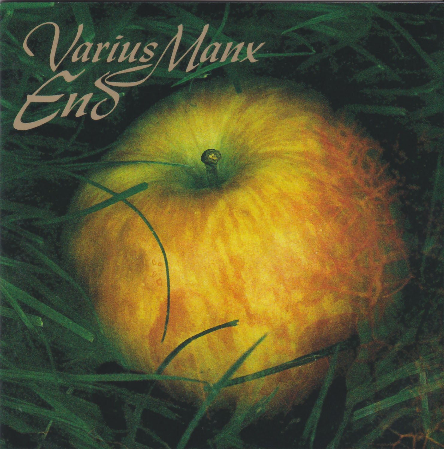 Varius Manx - End