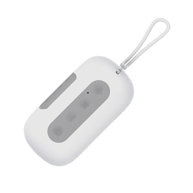 M-Series MZ-4 Wireless Speaker