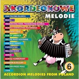 Akordeonowe Melodie #6 - Wspomnienie lata vol.2