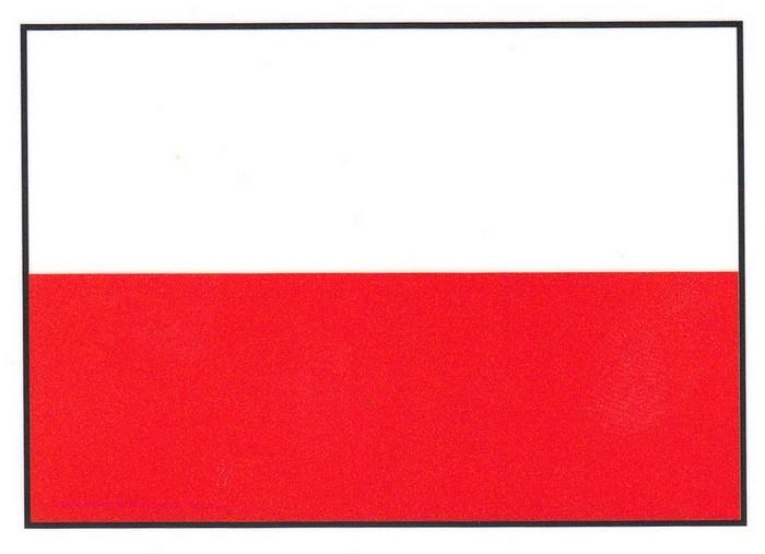 Sticker - Polish Flag